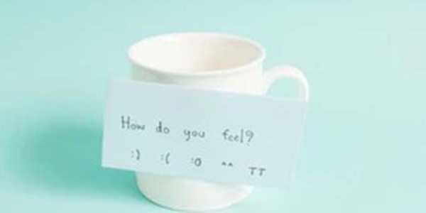 How will I be supported?